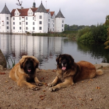 Bosse Flinn aus dem Sumpfloch 
