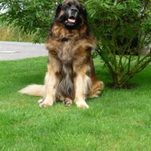 Tom 4