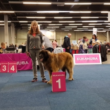 Bosse Flyn vom Sumpfloch